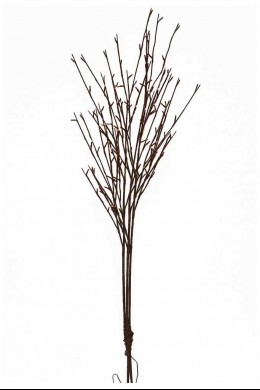   50" WILLOW BRANCH WITH 120 WARM WHITE LEDS  [184138] 