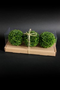 OUT OF STOCK SET OF 3, BOXWOOD SPHERES [901241]