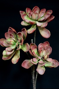 OUT OF STOCK 38"H x 9"D RED GREEN SUCCULENT  [FF2268]