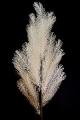 46" NATURAL SYNTHETIC FEATHERS [FF2351-CASE]