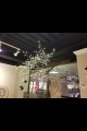  OUT OF STOCK 480  WARM WHITE LED  BRANCH CHANDELIER, NATURAL, 6 1/2' W X 7' L  (391208)