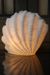 scallop shell lamp