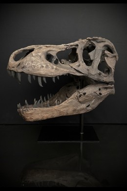  19.5x11.5x10" RESIN DINOSAUR HEAD ON METAL STAND [376219] SHIP PALLET ONLY