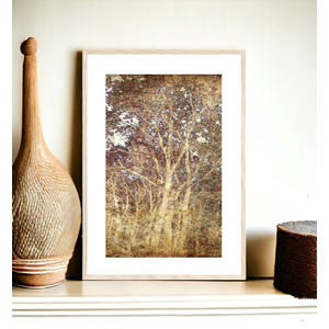 GOLDEN FOREST FRAMED & GLAZED 39.5x27.5"