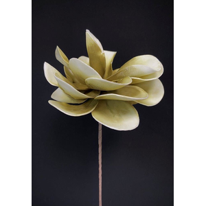 KHAKI/CREAM FOAM FLOWER 19"