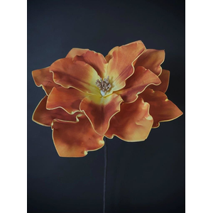 ORANGE FOAM BRANCH 28X22"