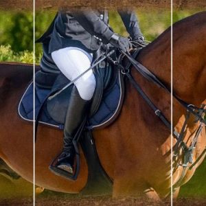 TRIPTIC, "IMPERIAL TEAM" CANVAS WRAPPED PRINT, 36x72"