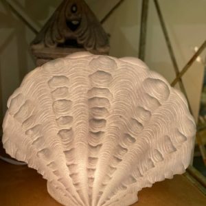 STANDING SCALLOP, 17x9.25"