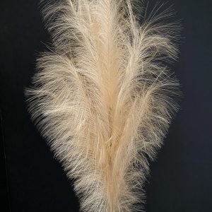 NATURAL FOAM FLOWER 45"x16"