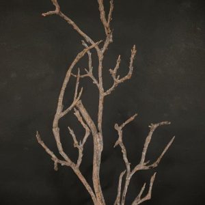 FAUX BRANCH 30"
