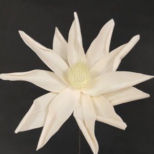 APRICOT SORBET FOAM FLOWER 29"
