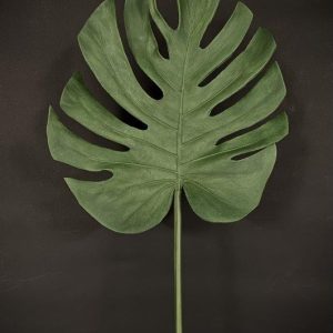 TROPICAL LEAF 26"