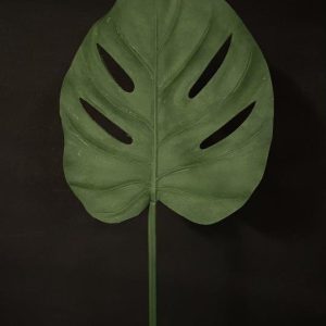 TROPICAL LEAF 31"