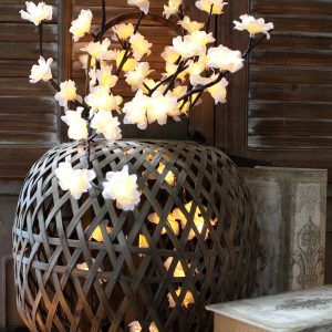 60 LIGHT WHITE PLUM NOUVEAU