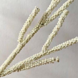 36" CORAL SPRAY