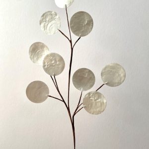 21" ABALONE SPRAY- NATURAL