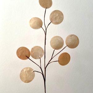 21" ABALONE SPRAY-PEACH