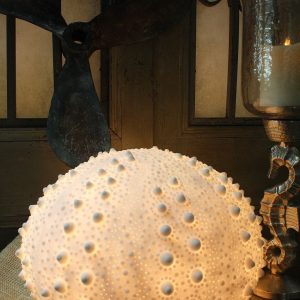 SEA URCHIN 15.95x10.5"