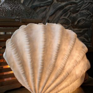 STANDING SHELL LAMP 17.5x8.5x14"