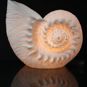 NAUTILUS  LAMP 13"x11.5"x6"