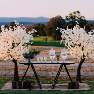 880 LIGHT 7' WHITE LEAF MAPLE TREE, WARM WHITE LEDS, BLACK TRUNK