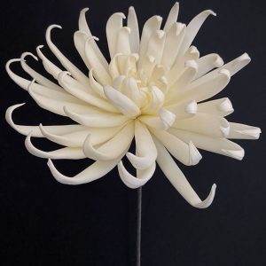 CREAM FOAM FLOWER 20x10"