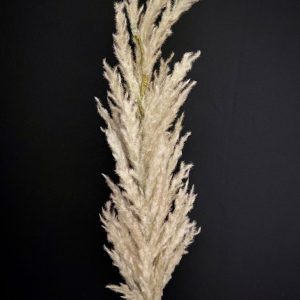 TAN FOAM FLOWER 46.5"x27"