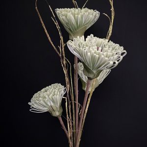 LIGHT GREEN FLOWER 40x22"