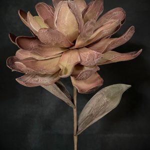 MULTI-COLOR SUCCULENT 24"LX8"D