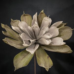 MEGA SUCCULENT 41"LX23"D