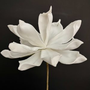 WHITE FLOWER