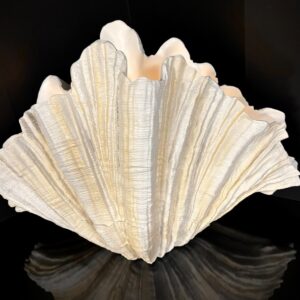 SHORELINE SHELL VASE 21.25 X 13.75