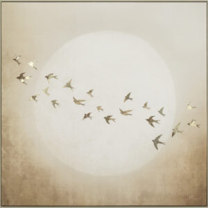 GOLDEN FLIGHT 31.50x31.50" *SHIPS PALLET ONLY*