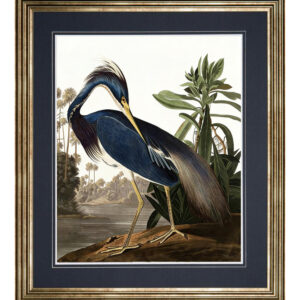 LOUISIANA HERON 34.65x29.92" *SHIPS PALLET ONLY*
