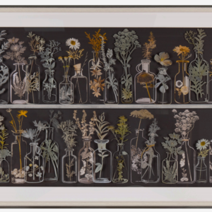 THE FORAGERS 45.67x29.92" *SHIPS PALLET ONLY*