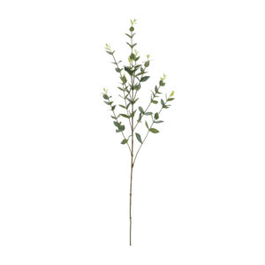 EUCALYPTUS SPRAY