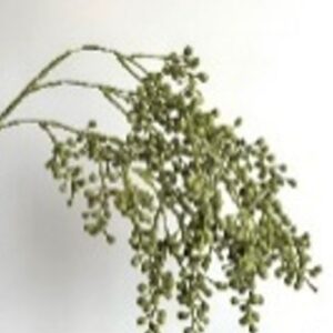 SAGE GREEN WILD BERRY SPRAY 25"