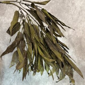 OLIVE GREEN LEAVES 43"