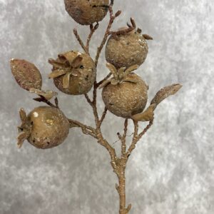 POMEGRANATE STEM 27.5"
