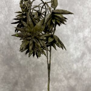 EVERGREEN MOSS SUCCULENT SPRAY 27.5"
