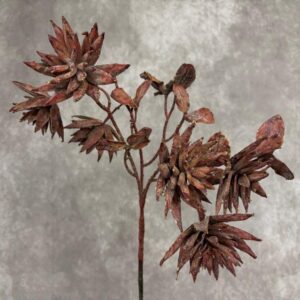 ROMEO SUCCULENT SPRAY 27.5"