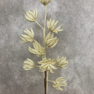 ANTIQUE WHITE DELICATE SUCCULENT 37"