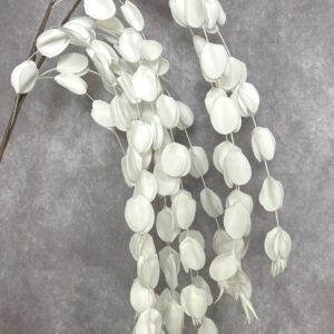 WHITE POD CASCADE BRANCH 59"