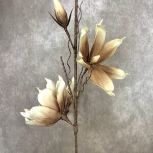 WHITE + ALMOND BLOOM 36"