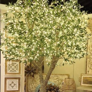8' OLIVE TREE, 760 WARM WHITE LEDS, NATURAL TRUNK